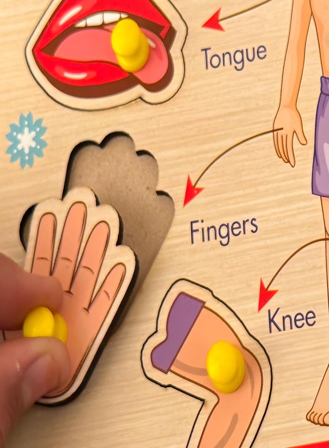 BuGBee Wooden Body Parts Puzzle for Kids | Montessori Human Body Parts Learning Peg Board | Educational Wooden Jigsaw Toy for Toddlers 2 3 4 5+ Years - Image 2